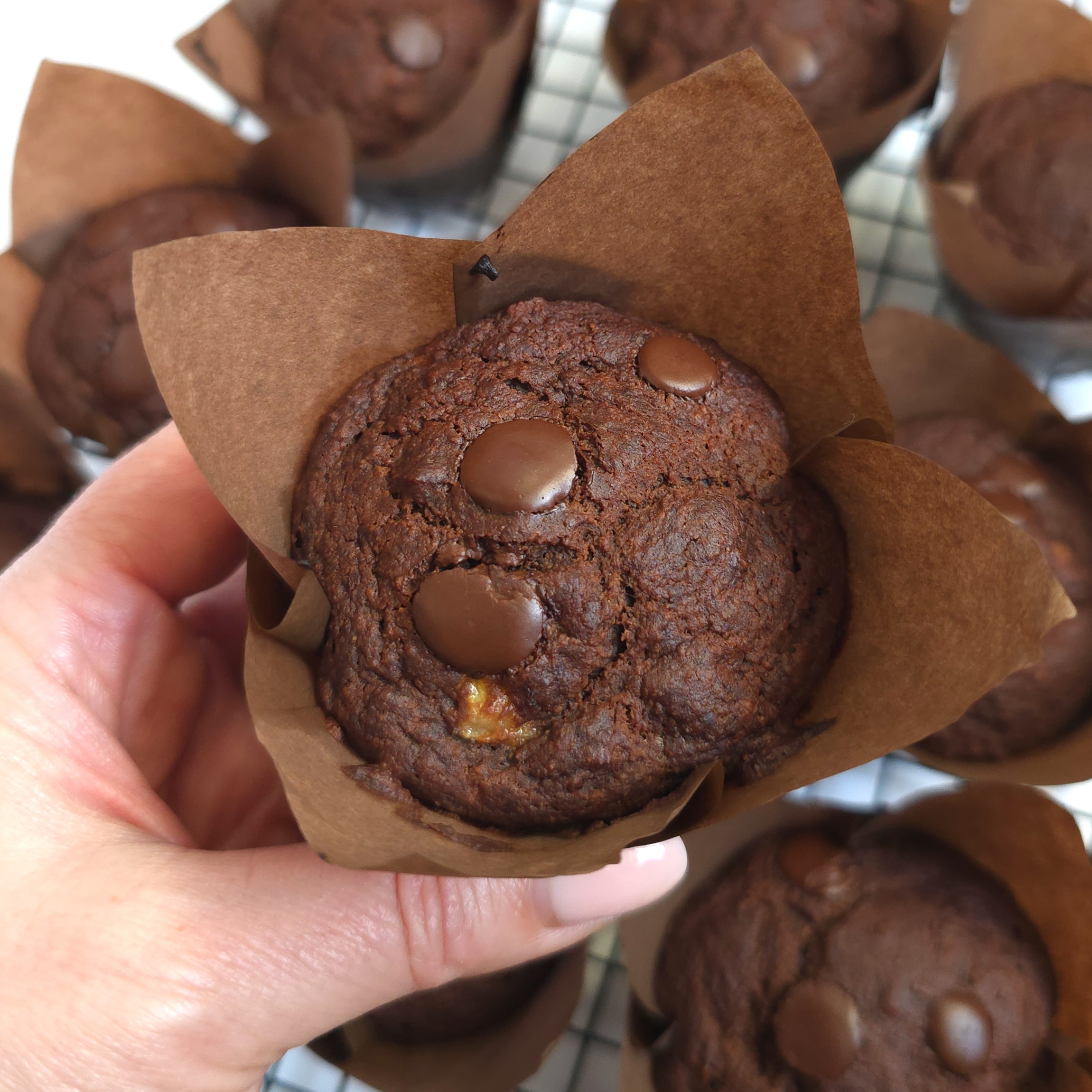 chocolate muffin in a baking liner cup